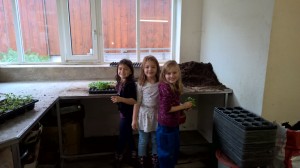 WP_20151026_09_23_33_Pro