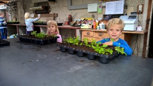 WP_20151026_09_28_33_Pro