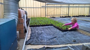 WP_20151026_09_41_11_Pro