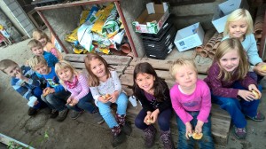 WP_20151026_10_23_31_Pro