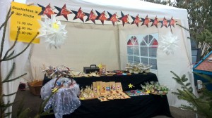 WP_20161210_10_01_30_Pro